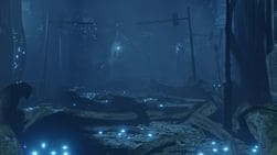 Mist — captura 5