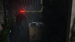 Mist — captura 6